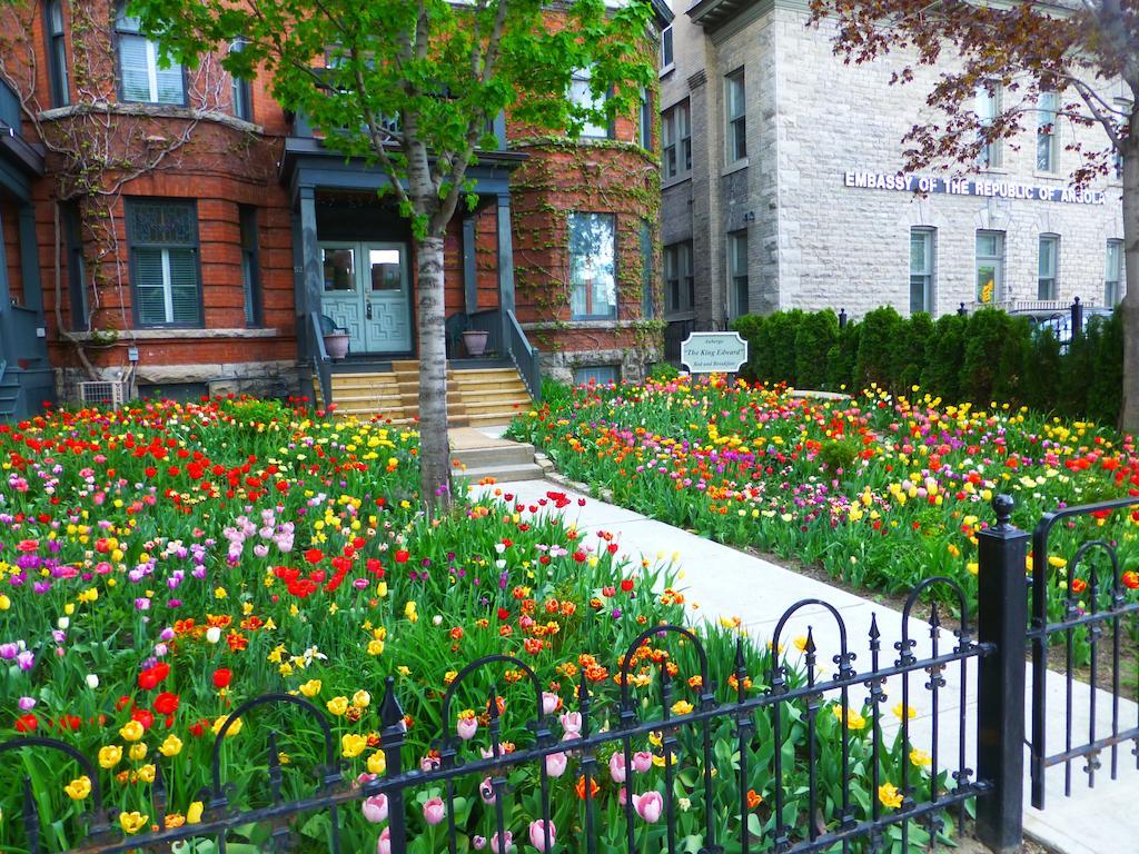 Auberge King Edward Bed And Breakfast Ottawa Room photo