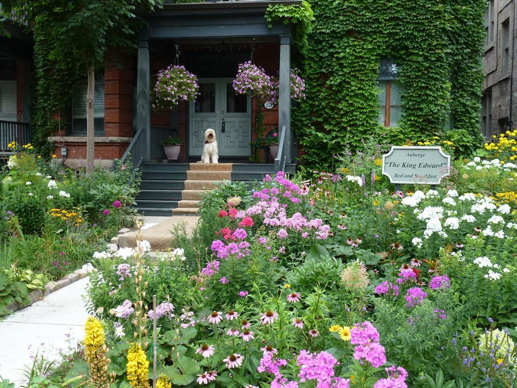 Auberge King Edward Bed And Breakfast Ottawa Exterior photo